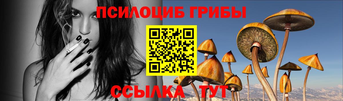 Галлюциногенные грибы Magic Shrooms Туапсе